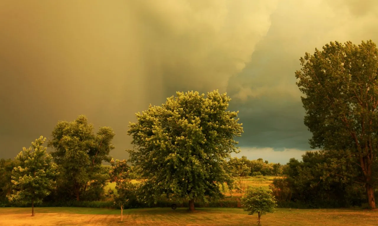 a imagem mostra uma determinada &aacute;rea com forma&ccedil;&atilde;o de chuva